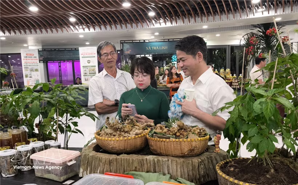 2026年岘港国际玉灵参暨药材节开幕
