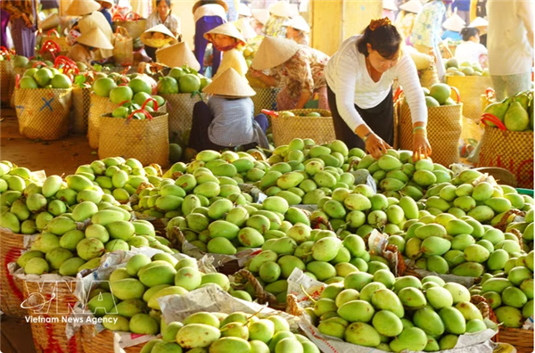Le commerce extérieur, point fort de léconomie vietnamienne