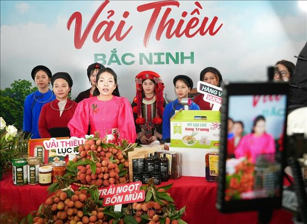 Bac Ninhs Lychee Harvest Brings in Over 9 Trillion Dong