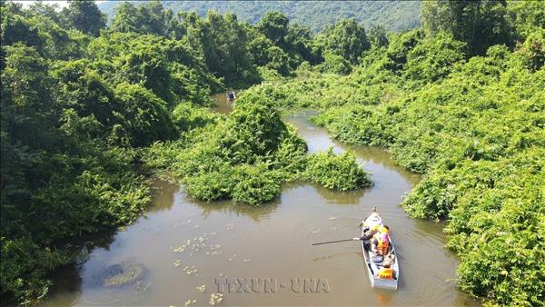 Đắk Lắk: Khám phá vẻ đẹp nguyên sơ rừng Bầu Đá
