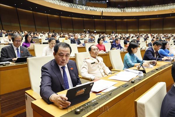 Kỳ họp không thường lệ thứ Nhất, Quốc hội khóa XVI: Cải cách thủ tục hải quan gắn với chuyển đổi số và quản lý rủi ro