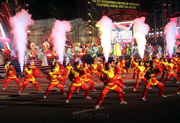 Vietnamese traditional martial arts festival opens with spectacular performances