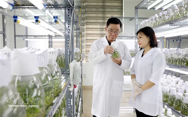 第57号决议：打造新增长动力的核心引擎
