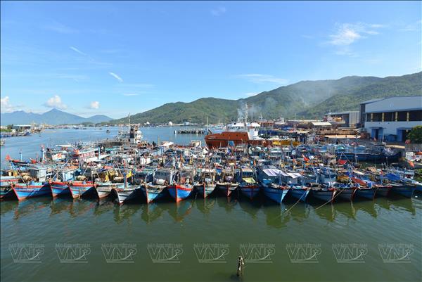 Ciudad de Da Nang endurece control de su flota para combatir pesca IUU