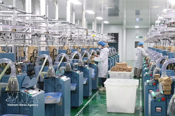 Le Vietnam maintient en juillet son élan économique et vise une croissance à deux chiffres