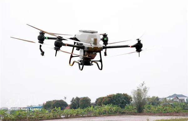 Linnovation, moteur de la transformation de lagriculture vietnamienne
