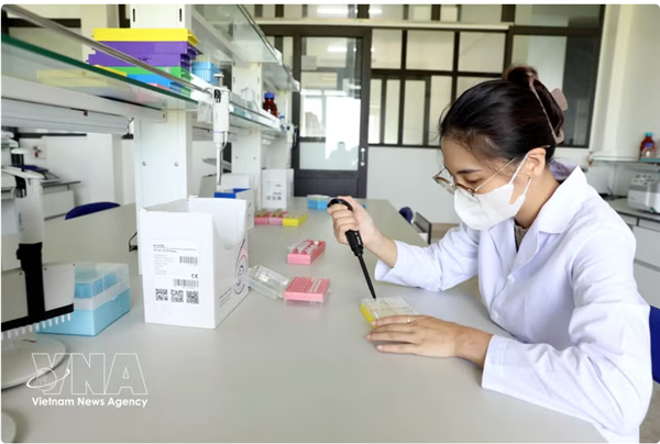 Le Vietnam accélère la concrétisation de sa stratégie dinnovation