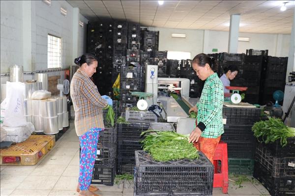 Đào tạo nghề tại nông thôn, hướng đến hình thành đội ngũ nông dân số