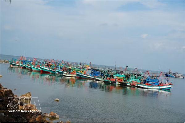 An Giang adopte une politique de tolérance zéro à légard de la pêche INN