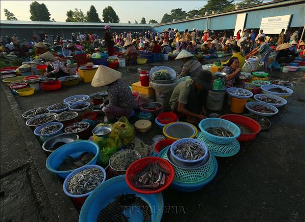 Mộc mạc chợ quê Vị Thanh, Cần Thơ