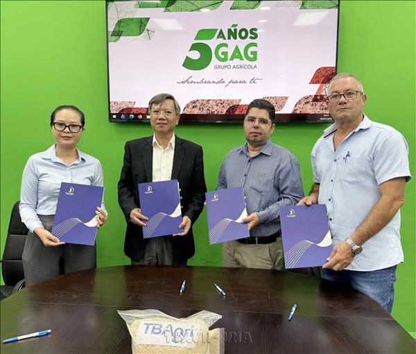Vietnam hands over Cuba-grown rice to partner