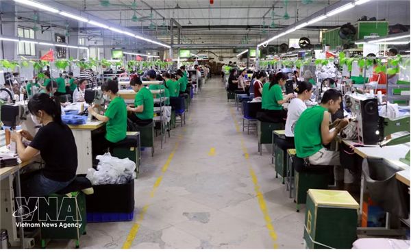 Mieux protéger les travailleurs vietnamiens à létranger