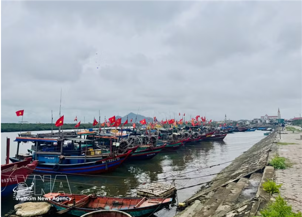 Levée du  carton jaune  : Ha Tinh renforce la gestion communautaire pour lutter contre la pêche illégale