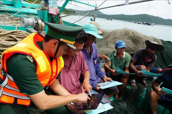 Provincia vietnamita de An Giang refuerza lucha contra la pesca ilegal