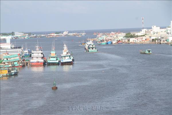 Cà Mau triển khai đợt cao điểm chống khai thác IUU