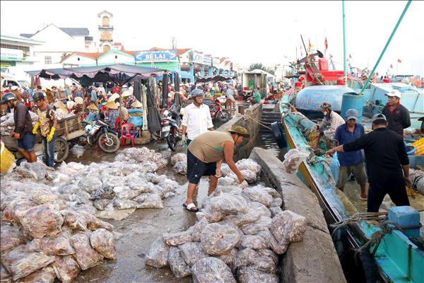 Lâm Đồng: Nhộn nhịp mùa cá Nam