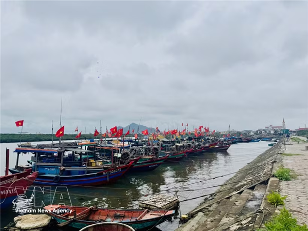 解除IUU黄牌警告：来自基层的渔场保护盾牌