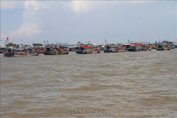 Ca Mau launches peak campaign to combat IUU fishing