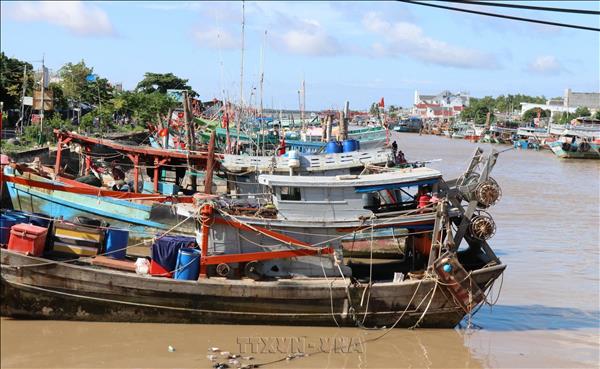 Vĩnh Long siết chặt quản lý nghề cá, quyết tâm gỡ thẻ vàng IUU