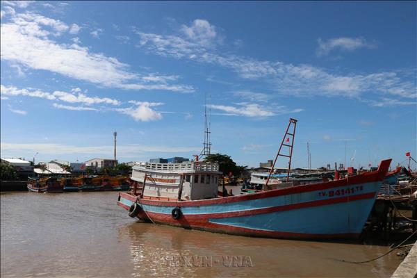 Vietnam emite plan de acción para atender recomendaciones de la CE sobre INDNR