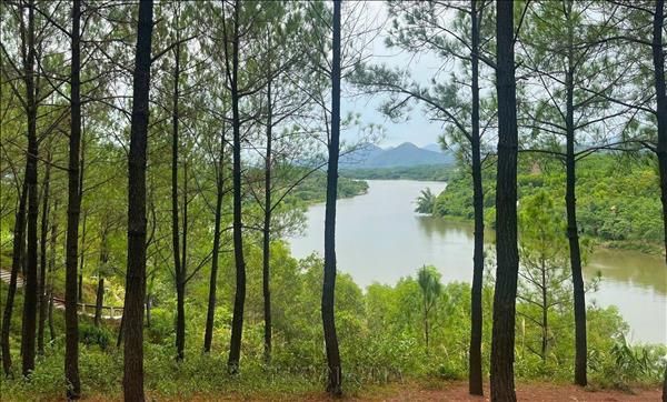 Lãng mạn đồi Vọng Cảnh ở cố đô Huế