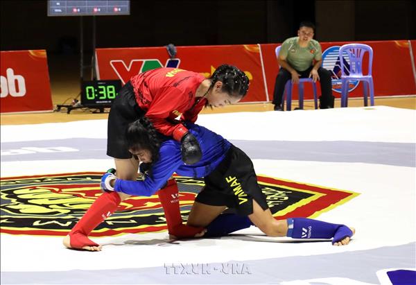 195 võ sĩ trẻ tranh tài tại Giải vô địch MMA quốc gia 2026
