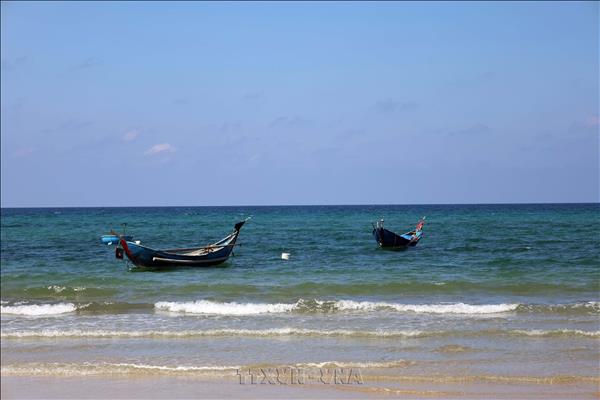 Wild Beauty of Southern Beaches in Da Nang City