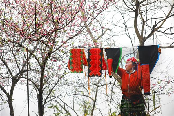 Tà Xùa được World Travel Awards 2026 đề cử Điểm đến mới nổi hàng đầu châu Á