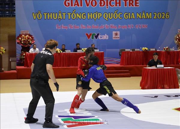 2026 베트남 전국 청소년 MMA 선수권대회: 195명의 젊은 선수들 경쟁