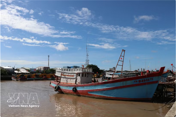 Le Vietnam adopte un plan daction pour remédier aux recommandations de la CE sur la lutte contre la pêche INN