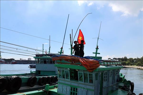 Da Nang city tightens controls to prevent IUU fishing violations