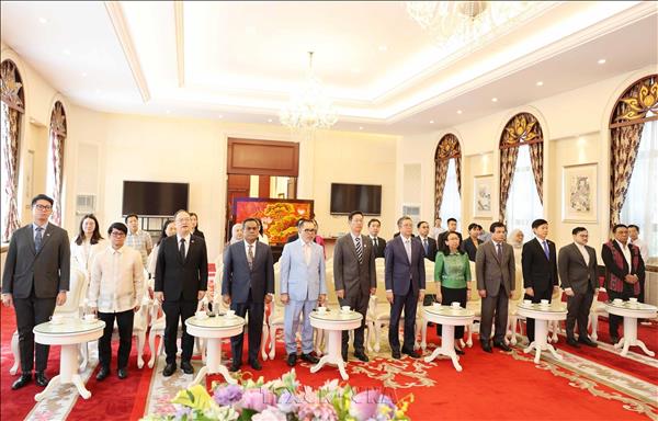 Việt Nam nhấn mạnh vai trò đoàn kết và trung tâm của ASEAN