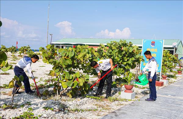 Sức sống xanh nơi trùng khơi Tổ quốc