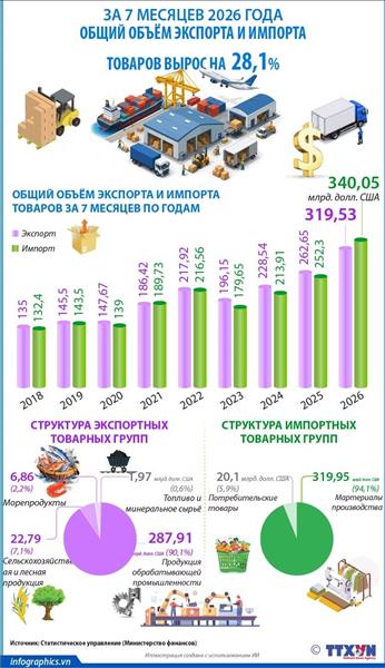 За семь месяцев 2026 года общий объем экспорта и импорта товаров вырос на 28,1%
