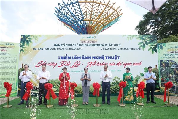 120 tác phẩm góp sức quảng bá thương hiệu sầu riêng Đắk Lắk