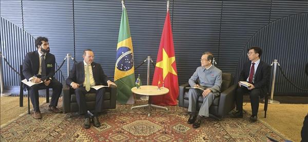 Communist Party of Vietnam strengthens ties with Brazilian political forces