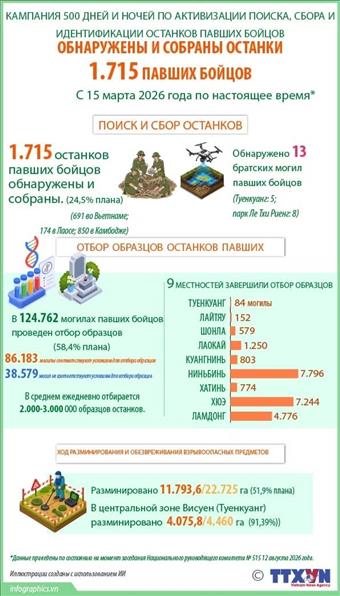 Обнаружены и собраны останки 1 715 павших бойцов