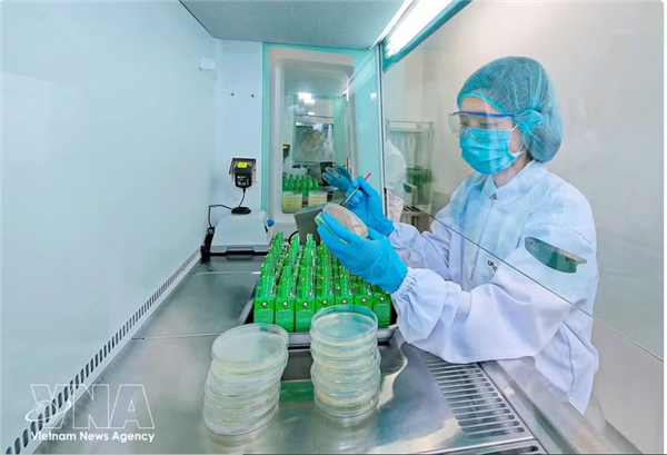 Le Vietnam mise sur les investissements verts pour attirer des IDE de nouvelle génération