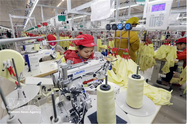 Renforcer la résilience de lindustrie du textile et de lhabillement du Vietnam