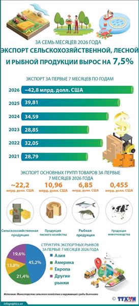 За семь месяцев 2026 года экспорт сельскохозяйственной, лесной и рыбной продукции вырос на 7,5%