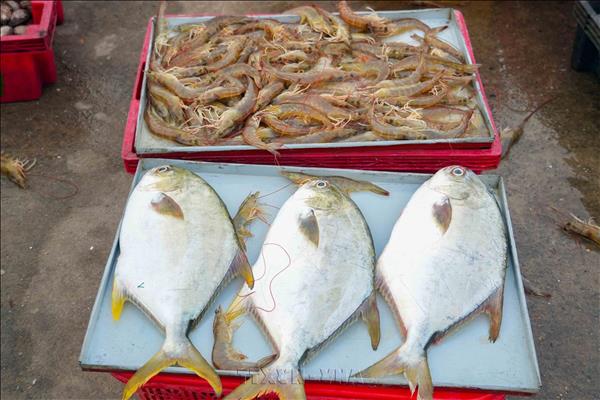 ការនាំចេញជលផលកើនឡើងយ៉ាងខ្លាំង ដែល​ត្រូវបាន​រំពឹងថា នឹងបង្កើនល្បឿននៅប៉ុន្មានខែចុងឆ្នាំ