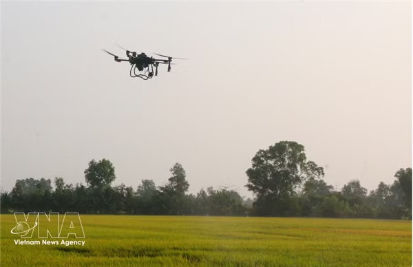 Le Vietnam renforce la gestion et la surveillance des drones