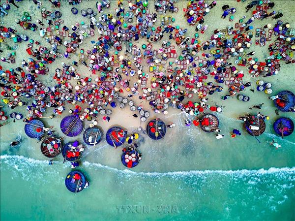 Tam Tien Fish Market Bustles with Trade