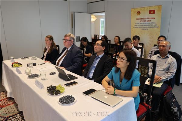 Vietnam Mission in Geneva hosts hybrid seminar on industrial policy