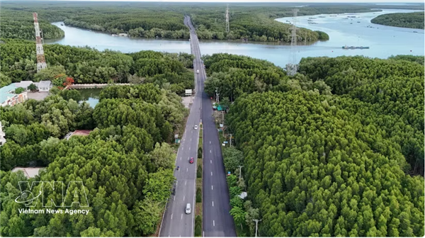 Les entreprises de Hô Chi Minh-Ville voient des opportunités offertes par le marché du carbone