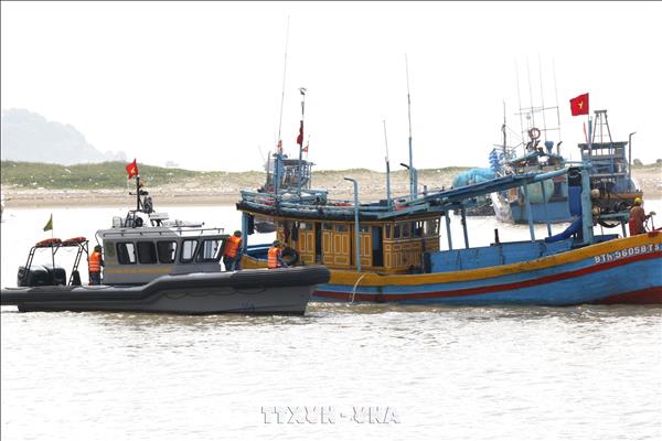 Provincia vietnamita intensifica lucha contra pesca ilegal