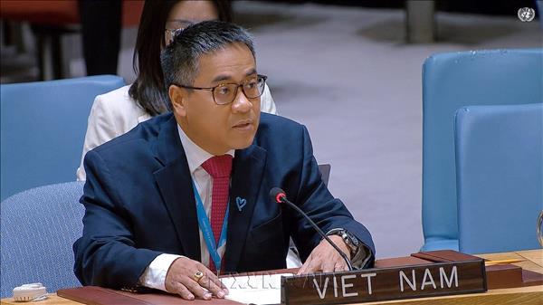  Việt Nam thúc đẩy nâng cao hiệu quả hoạt động của HĐBA LHQ