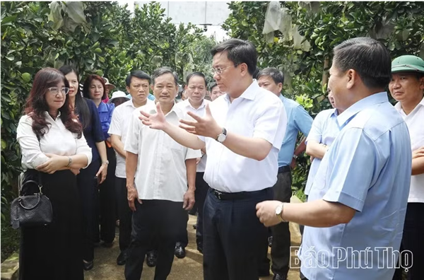 重新规划种植区 拓展农产品出口空间