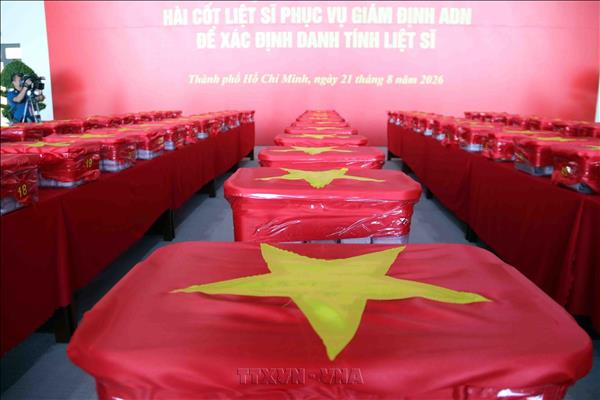 Chuyến bay đặc biệt đưa 7.104 mẫu hài cốt liệt sĩ ra Hà Nội đi tìm danh tính