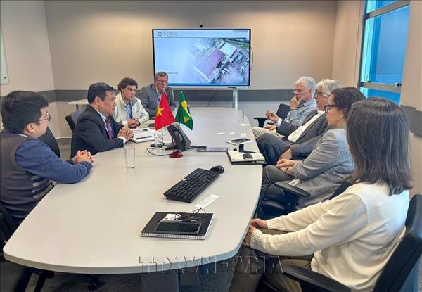 Việt Nam, Brazil tăng cường hợp tác về chuyển đổi số